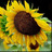Photo of Mi BG