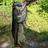 Photo of Liam Layo