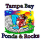 Cool Ponds in Dunedin, FL Water Gardens & Ponds Equipment & Supplies