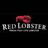 Restaurant Lobster in South Plainfield, NJ 07080