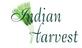 Restaurants/Food & Dining in Naperville, IL 60563