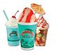 Bahama Buck's Original Shaved Ice in Sachse, TX Dessert Restaurants