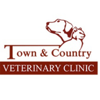 Town & Country Veterinary Clinic in Marietta, GA Veterinarians