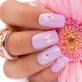Nail Salons in Cary, NC 27518