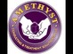 Amethyst Consulting & Treatment Solutions, PLLC in Greensboro, NC Alcohol & Drug Prevention Education
