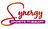 Synergy Sports Therapy in Berea, OH