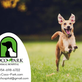 Coco-Park Animal Hospital in Coconut Creek, FL Animal Hospitals