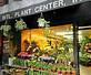 International Plant Center Florist in New York, NY Florists