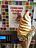 Yolickity Frozen Dessert Zone - Greece in Rochester, NY