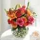 Florists in Midtown - Jacksonville, FL 32206