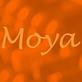 Moya in Downtown - Jim Thorpe, PA American Restaurants