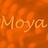 Moya in Downtown - Jim Thorpe, PA