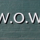 W.o.w. Dallas Boutique in Oak Lawn - DALLAS, TX Clothing Stores