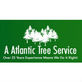 Tree Service Equipment in Chesapeake, VA 23322