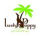 Lush Puppy Pet Resort in Jupiter, FL Pet Boarding & Grooming