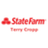 Terry Cropp - State Farm Insurance Agent in Tucson, AZ