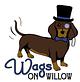 Wags on Willow in Northbrook, IL Pet Boarding & Grooming