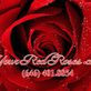 Your Red Roses in Tremont - Bronx, NY Florists