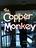 Copper Monkey Restaurant in Gainesville  - Gainesville, FL