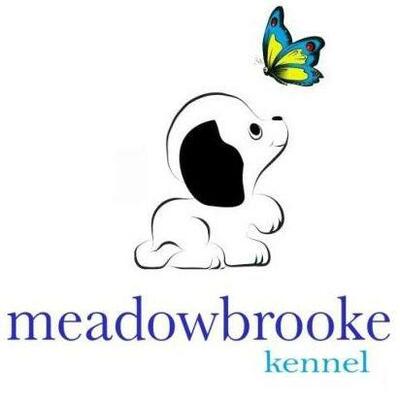 Meadowbrooke Kennel in Knoxville, TN Pet Grooming & Boarding