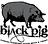 The Black Pig in Sheboygan, WI