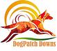 Dogpatch Downs in Ocala, FL Pet Care Services