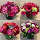 Florists in Darien, CT 06820