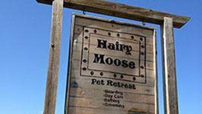 Hairy Moose Pet Retreat in Gallatin, TN Pet Boarding & Grooming