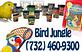 Angel's Bird Jungle in Shrewsbury, NJ Pet Care Services