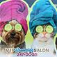 VIP Grooming Salon in Grand Rapids, MI Pet Boarding & Grooming