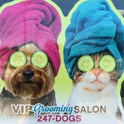 Vip Grooming Salon in Grand Rapids, MI Pet Grooming & Boarding Services