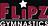 Flipz Gymnastics in Concord, NH