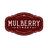 Mulberry Street Italian Kitchen in White Plains, NY
