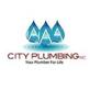 AAA City Plumbing - Lake-Wylie in Rock Hill, SC Plumbing Contractors