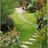 R & N Lawn Service & Landscaping in Schofield, WI