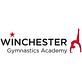 Winchester Gymnastics Academy in Winchester, MA Sports & Recreational Services