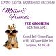 Pet Boarding & Grooming in Surprise, AZ 85378