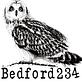 Bedford 234 in Bedford Village - Bedford, NY American Restaurants