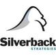 Silverback Strategies in Arlington, VA