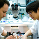 Manhattan Prosthetic Dentistry in New York, NY Dental Clinics