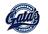 Gata's Sports Bar & Grille in Statesboro, GA