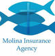 Molina Insurance Agency, in La Place, LA Insurance Carriers