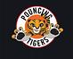 Pouncing Tigers in New York, NY Sports & Recreational Services