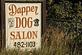 Dapper Dog Salon in Fort Collins, CO Pet Boarding & Grooming