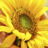 The Heart of Healing in Southington, CT