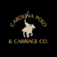 Carolina Polo and Carriage in Charleston, SC Tours & Guide Services