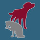 Veterinary Specialties Referral Center in Pattersonville, NY Veterinarians