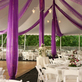 Monkey Joe's in Coral Springs, FL Party & Event Planning