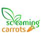 Screaming Carrots in Hallandale Beach, FL Mediterranean Restaurants