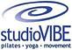 Studiovibe in Lochmere Pavilion - Cary, NC Sports & Recreational Services